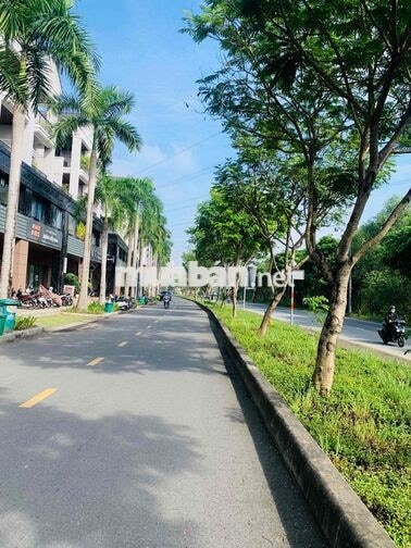 Cho Thuê Shophouse Mặt Tiền Đường Kinh Doanh SD 500M2 Chỉ 43tr