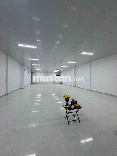 Cho thuê MB - kho (300m2, 2 mặt tiền) đường 9m, KP4 Trang Dài, Giá: 13