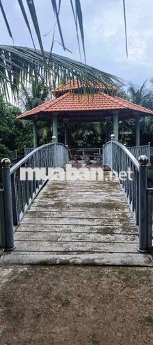 BÁN KHU NHÀ VƯỜN 1710M2 MẶT TIỀN NGUYỄN VĂN NHÂM - BẾN LỨC -LONG AN -