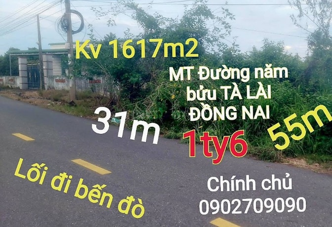 Mật tiền đường nhựa năm bửu 31m x 55m đất 1ty600 