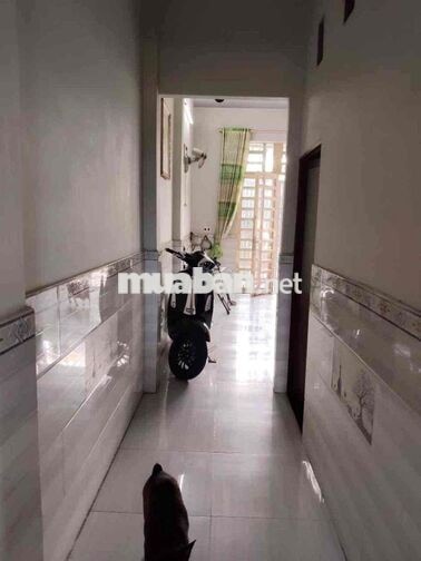 🏡 NHÀ 2 TẦNG - XE HƠI ĐỖ CỬA - BÀ ĐIỂM HÓC MÔN -GIÁ CHỈ 3.8 TỶ TL