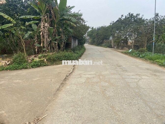 Em lên cho anh/chị quý nhà đầu tư nhà vườn tại xã Bằng Luân- Đoan Hùng