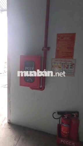 cho thuê kho xưởng An Phú Đông quận 12