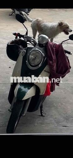 YAMAHA MIO classico bien sô tphcm