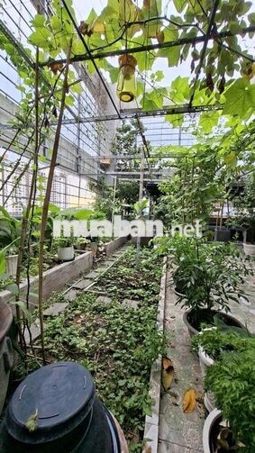 Cần bán căn hộ Penhouse Cao Ốc H2 Đ/C 196 Hoàng Diệu