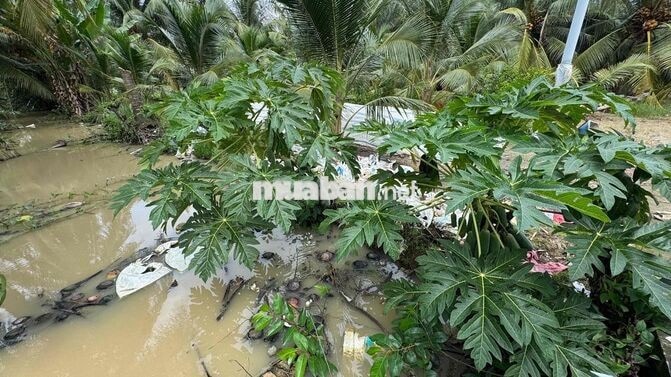 Rẻ #160tr, còn 1 nền  Ngang 5m dài 34m . Tổng 171m2 có sẵn 100m2 thổ