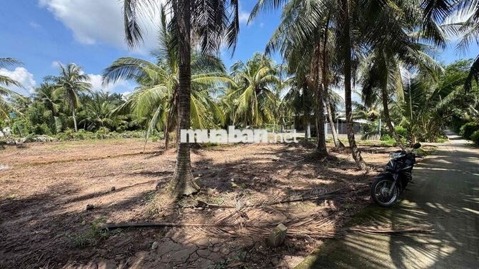 Rẻ #160tr, còn 1 nền  Ngang 5m dài 34m . Tổng 171m2 có sẵn 100m2 thổ