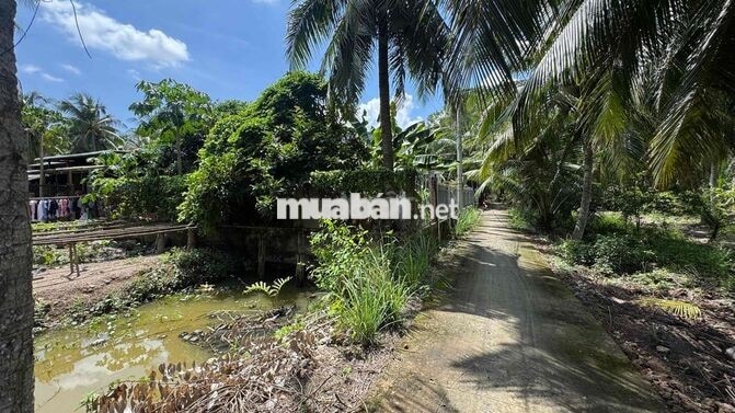 Rẻ #160tr, còn 1 nền  Ngang 5m dài 34m . Tổng 171m2 có sẵn 100m2 thổ