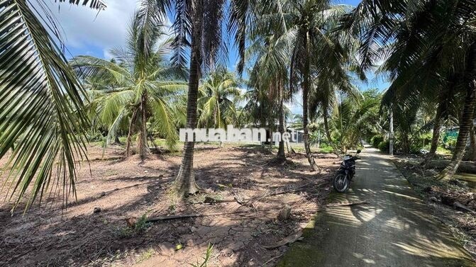 Rẻ #160tr, còn 1 nền  Ngang 5m dài 34m . Tổng 171m2 có sẵn 100m2 thổ