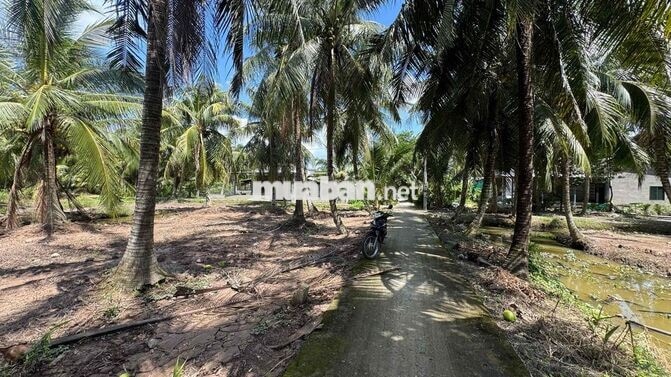 Rẻ #160tr, còn 1 nền  Ngang 5m dài 34m . Tổng 171m2 có sẵn 100m2 thổ