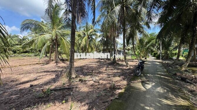 Rẻ #160tr, còn 1 nền  Ngang 5m dài 34m . Tổng 171m2 có sẵn 100m2 thổ