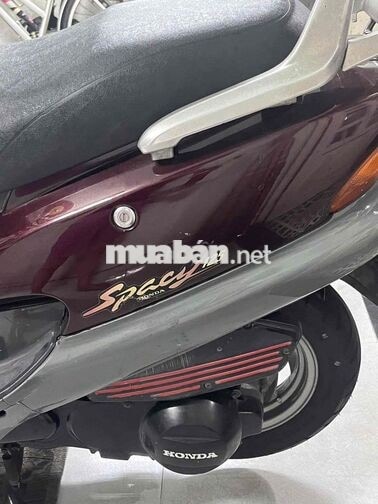 HONDA SPACY 125 2002 MÀU NHO