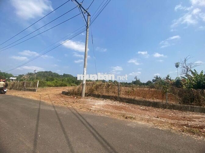 Cần 4300m2 Mặt tiền nhựa 60m view đẹp