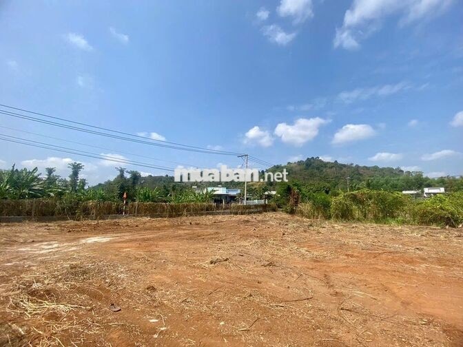 Cần 4300m2 Mặt tiền nhựa 60m view đẹp