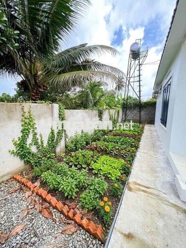 Nhà Vườn - Sổ Riêng Thổ Cư Gần Uỷ Ban - Phường Bình Lộc - Tp Đồng Nai