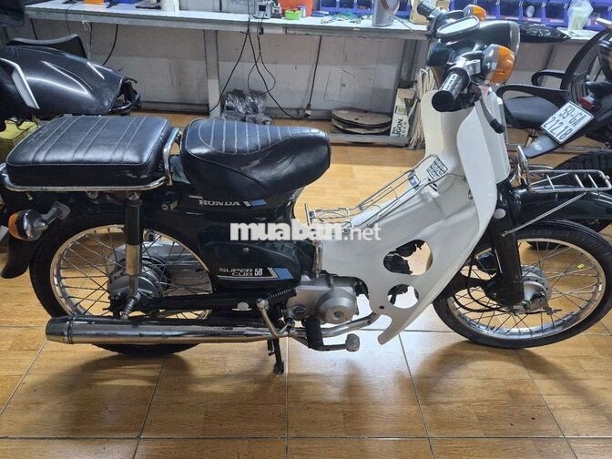 Honda Super Cub 81 86 Xanh Trắng