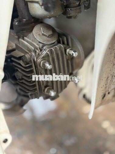 SYM 50cc angela chạy ko cần bằng lái biển 65 ngây