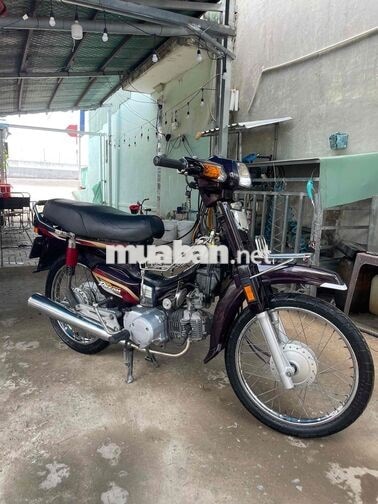 Honda Super Dream 2005 màu nho