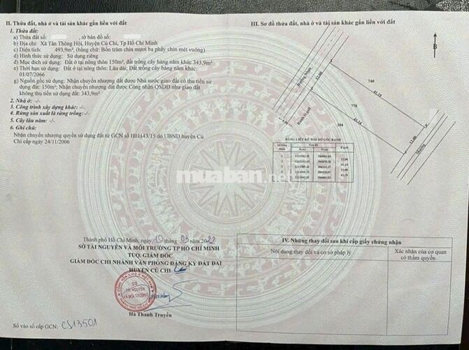 CHỦ CẦN TIỀN GẤP, BÁN RẺ MIẾNG ĐẤT 493M2, TÂN THÔNG HỘI, CỦ CHI
