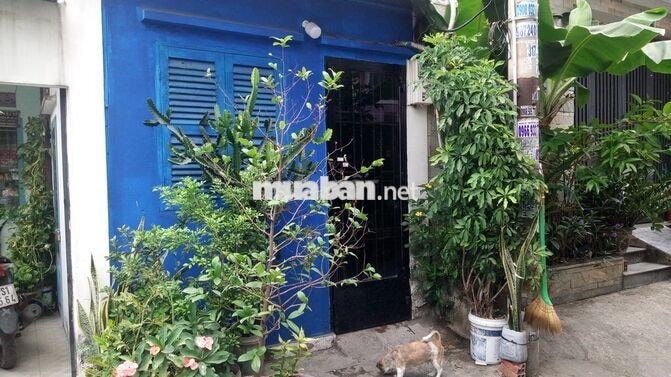 cho thuê nhà nguyên căn phường Bình Lợi Trung
