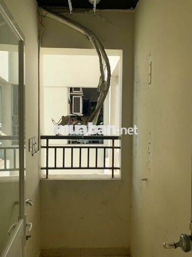 Bán căn 2pn 2wc ban công Đông Nam, lầu 11 chung cư DreamHome Palace Q8