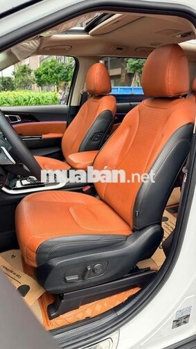 Carnival Signature 2.2D 2024, Cực Đẹp, Giá Mềm