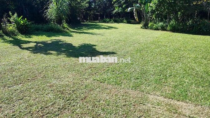 đất nghỉ dưỡng bám hồ xã Đoài Phương - TP Hà Nội, cách Big C  40 phút 