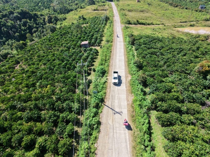 Đất Di Linh 333m mt bê tông 2ha giá 360tr/sào có nguồn thu