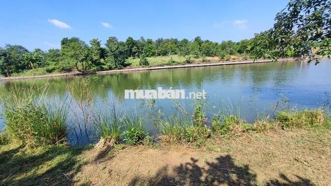 đất nghỉ dưỡng bám hồ xã Đoài Phương - TP Hà Nội, cách Big C  40 phút 
