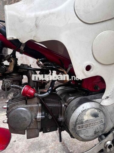 Honda DD70 màu Đỏ