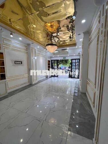 Nguyên Căn Mặt Tiền Quận 3-Nguyễn Đình Chiểu-Spa/Thẩm mỹ/nha khoa