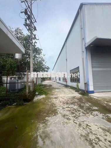 cho thuê xưởng phân bón hóa chất trong KCN ĐỨC HÒA