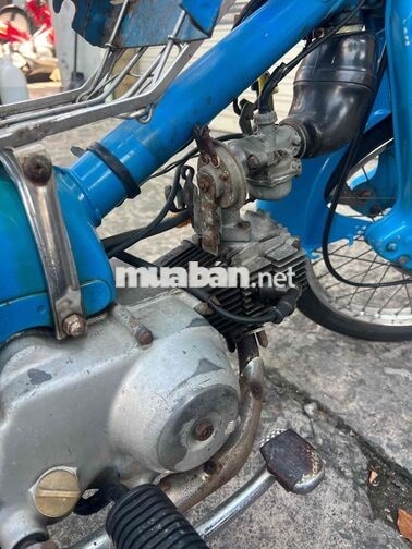 Honda Cub 70cc màu Xanh