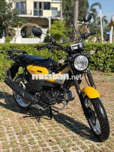 Yamaha PG1 2024 BSTP Chính Chủ Ký Máy Nguyên Zin