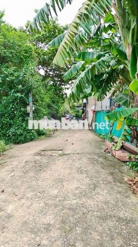 Đất nền SHR 2/Trung Đông 12-Thới Tam Thôn-Hóc Môn.Dt 5x20~101m2. 2,2ty