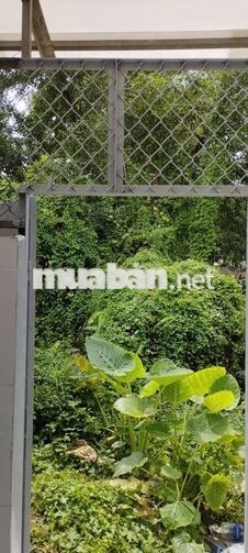 CHO THUÊ NHÀ NGUYÊN CĂN MẶT TIỀN ĐƯỜNG SỐ 10 - P. BÌNH HƯNG HÒA