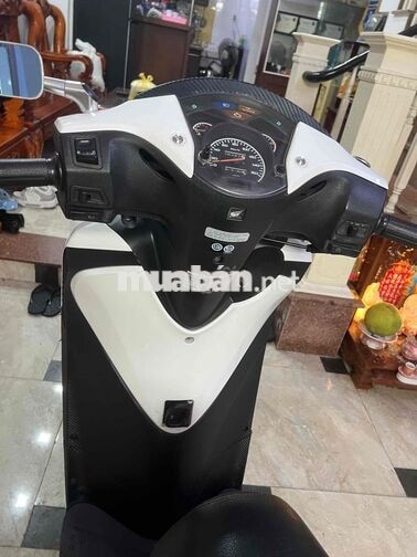 Honda SH 2010 màu Trắng