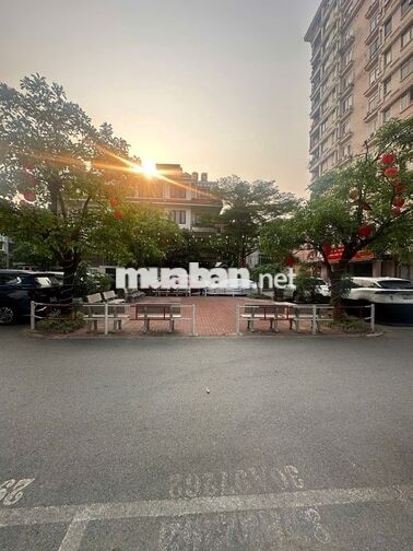 Bán nhà biệt thự khu phân lô Quân đội Ba đình giá tốt!