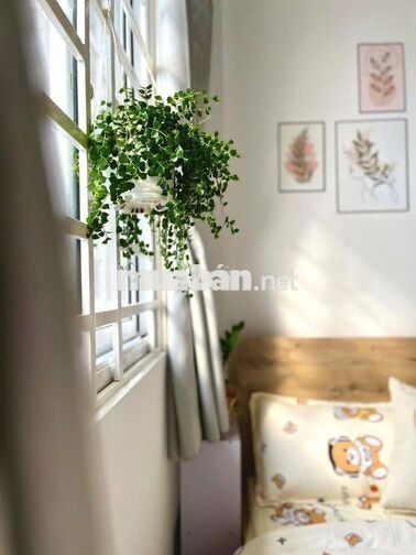 STUDIO FULL NT NGAY ĐH VĂN LANG, CÔNG NGHIỆP, EMART, VINCOM PVĂN TRỊ
