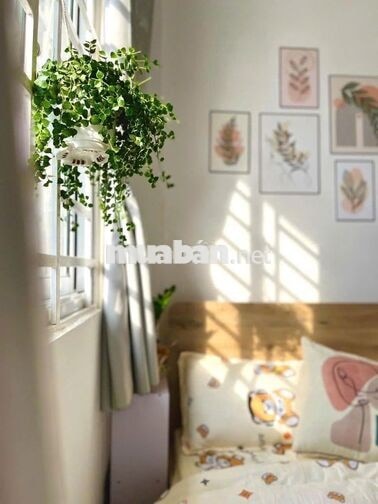 STUDIO FULL NT NGAY ĐH VĂN LANG, CÔNG NGHIỆP, EMART, VINCOM PVĂN TRỊ