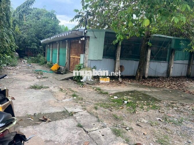 🔥ĐẤT CHỢ THỦ ĐỨC 150M2 CHỈ 8Đ NHỈNH🔥