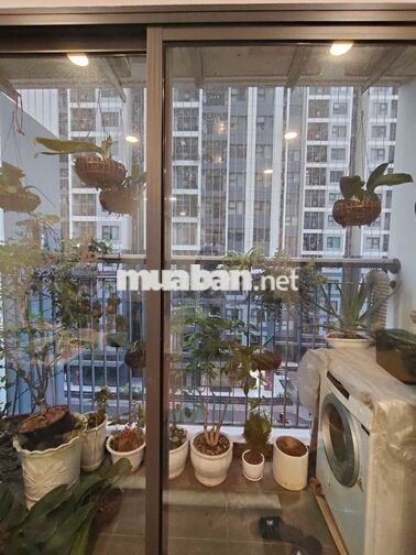 CHÍNH CHỦ CHO THUÊ CĂN GÓC 2N+ TÒA I4 VINHOME SMART CITY