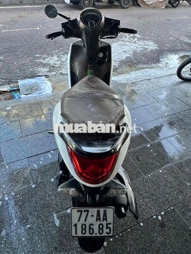 Yamaha Janus 2021 Giới hạn Trắng nâu