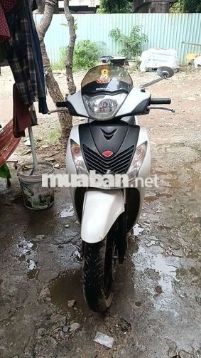 Honda SH 150i 2010 màu Trắng