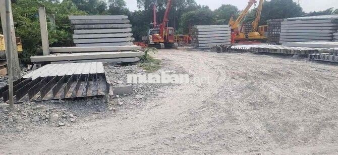 chính chủ cần bán đất ở Tân Túc 1000m2/12tỷ gần Trung Tâm hành chính