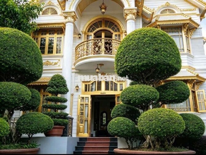 TÔI CẦN BÁN BIỆT THỰ BIỂN MỸ KHÊ ,SƠN TRÀ ,ĐÀ NẴNG 650 M2  ĐẤT