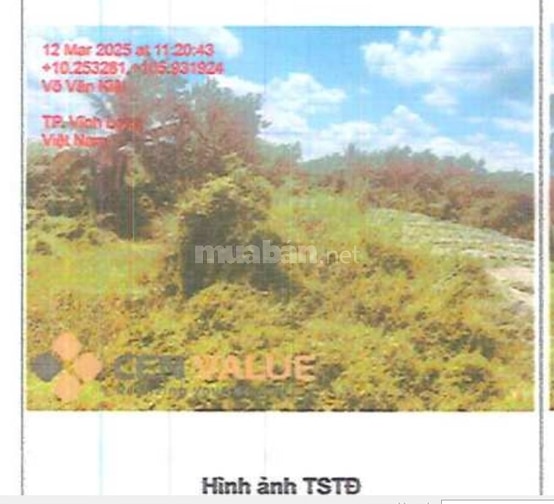 Bán 362,3m2 ODT tại phường Trường An, TP. Vĩnh Long, tỉnh Vĩnh Long