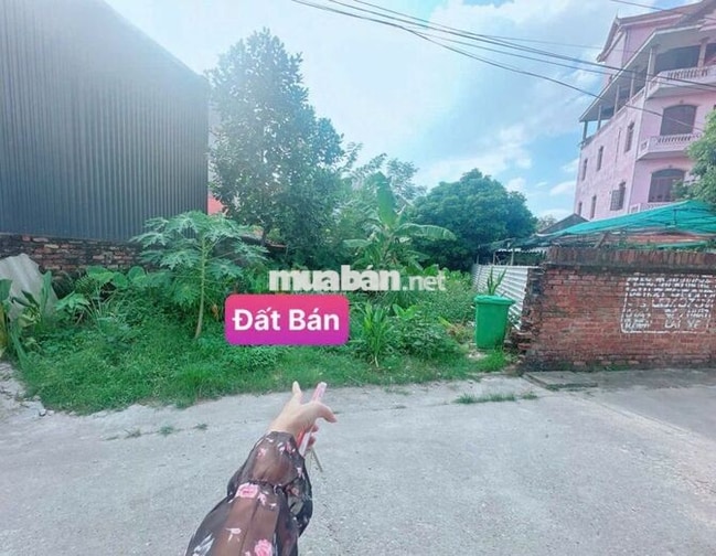 Chính chủ cần bán đất thổ cư tại Sóc Sơn