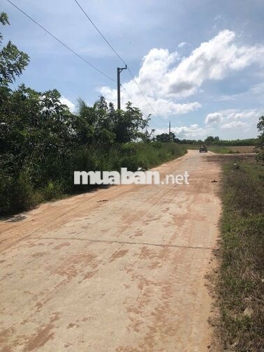 Bán 3hecta 150m mặt tiền đất vườn Tân Phúc - đường bê tông 6m
