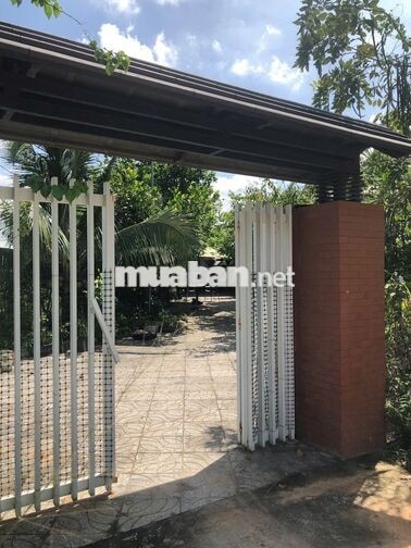 Bán 3hecta 150m mặt tiền đất vườn Tân Phúc - đường bê tông 6m